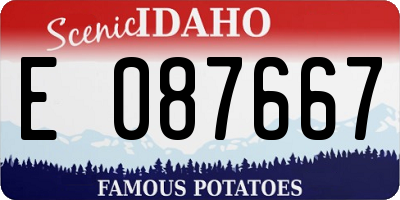 ID license plate E087667