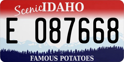 ID license plate E087668