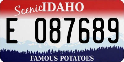 ID license plate E087689