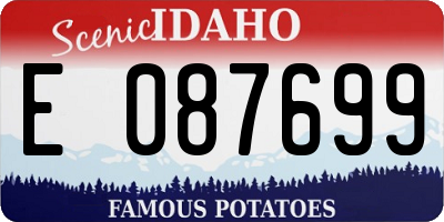 ID license plate E087699