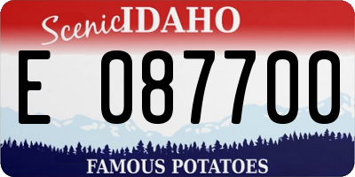 ID license plate E087700