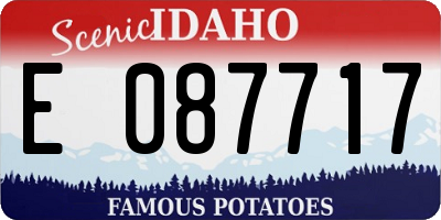 ID license plate E087717