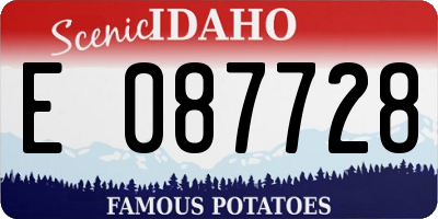 ID license plate E087728