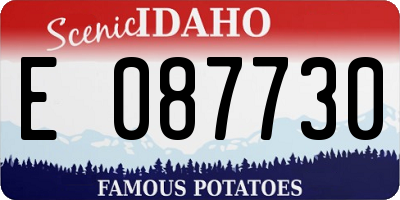 ID license plate E087730