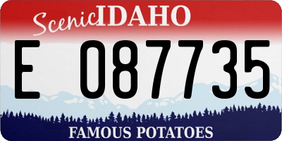 ID license plate E087735