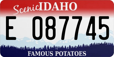 ID license plate E087745