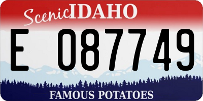 ID license plate E087749
