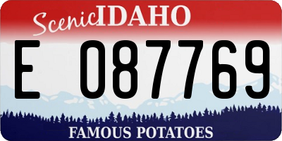 ID license plate E087769