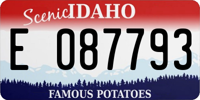 ID license plate E087793