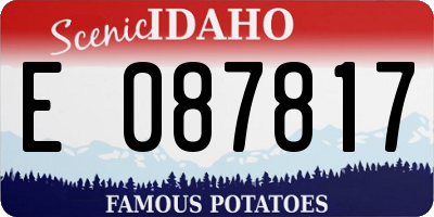 ID license plate E087817