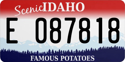 ID license plate E087818