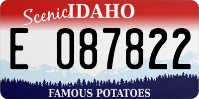 ID license plate E087822