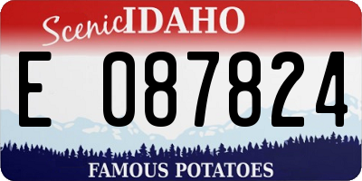 ID license plate E087824