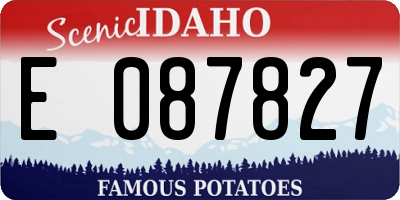 ID license plate E087827