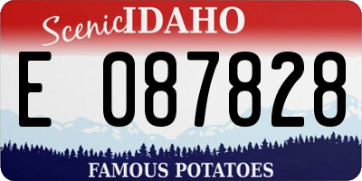 ID license plate E087828