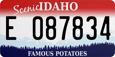 ID license plate E087834