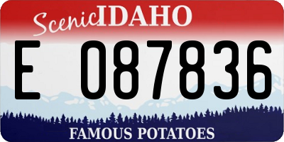 ID license plate E087836