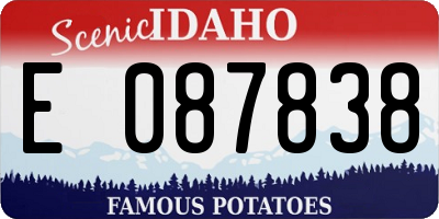 ID license plate E087838