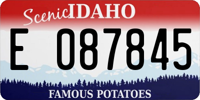 ID license plate E087845