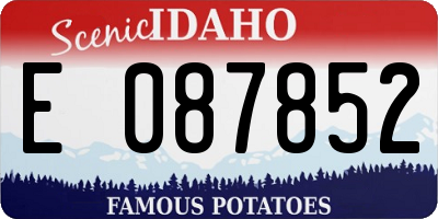 ID license plate E087852