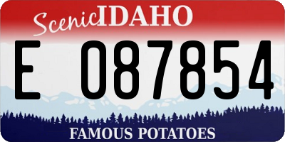 ID license plate E087854