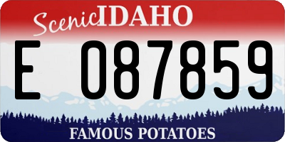 ID license plate E087859