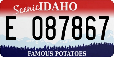 ID license plate E087867