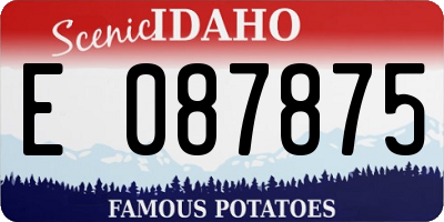 ID license plate E087875