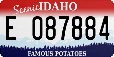 ID license plate E087884