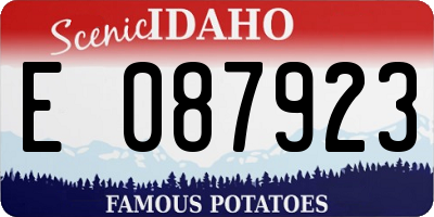 ID license plate E087923