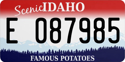ID license plate E087985