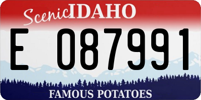 ID license plate E087991