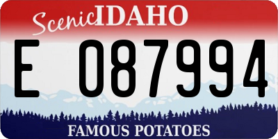 ID license plate E087994