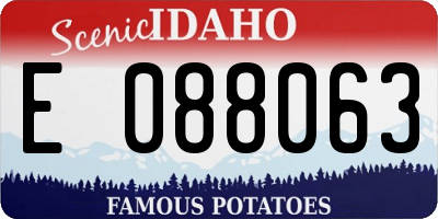 ID license plate E088063