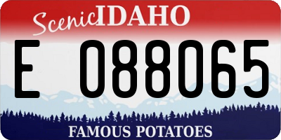 ID license plate E088065