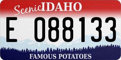 ID license plate E088133