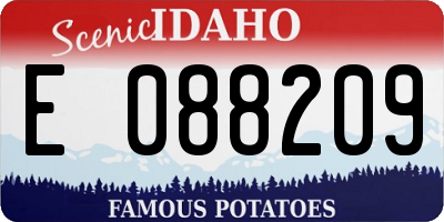 ID license plate E088209
