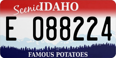 ID license plate E088224