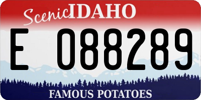 ID license plate E088289