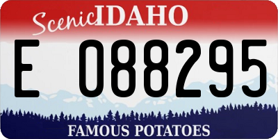 ID license plate E088295