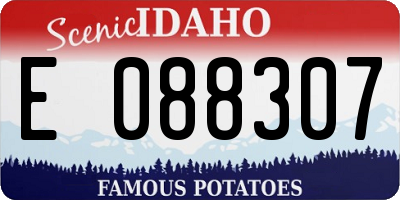 ID license plate E088307
