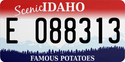 ID license plate E088313