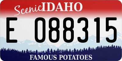 ID license plate E088315