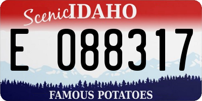 ID license plate E088317