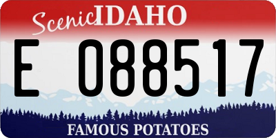 ID license plate E088517