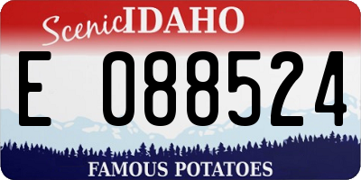 ID license plate E088524
