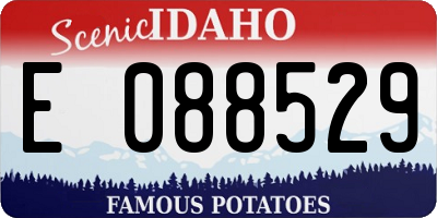ID license plate E088529