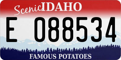 ID license plate E088534