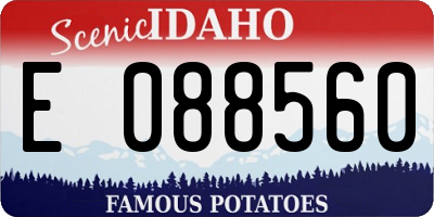 ID license plate E088560