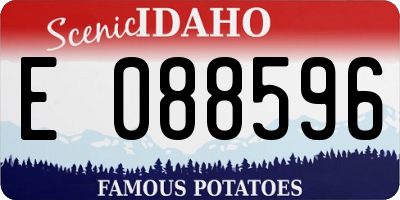 ID license plate E088596